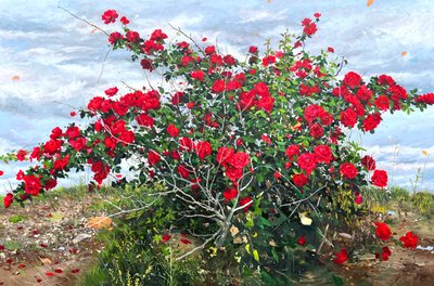 전소영, Wild Rose(장미의울음)