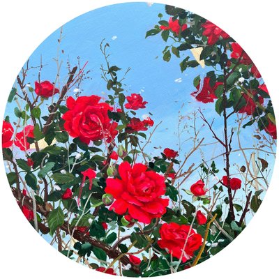 전소영, 화창한 장미