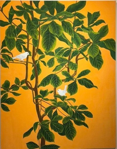 김선희, 소통하다