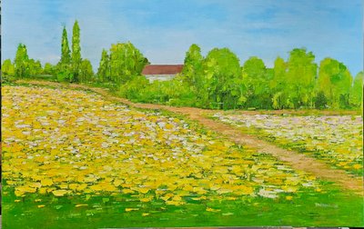 정세미, 마중 50