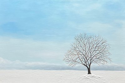 란, 포근한 바람이 머무는 겨울날