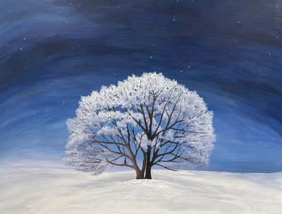 란, 별빛이 눈꽃을 깨우는 밤