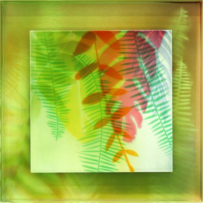 박용호, 풍경의 풍경 #4