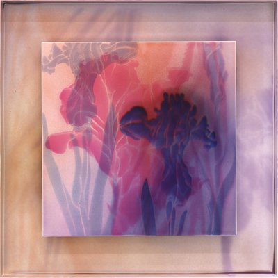 박용호, 풍경의 풍경 #5