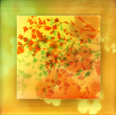 박용호, 풍경의 풍경 #7