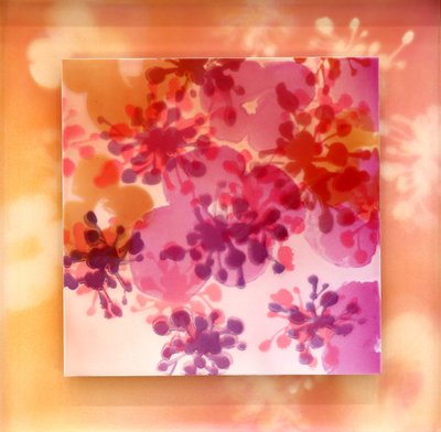 박용호, 풍경의 풍경 #8