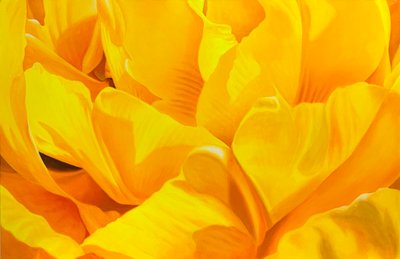 강하라, 태양의 속삭임