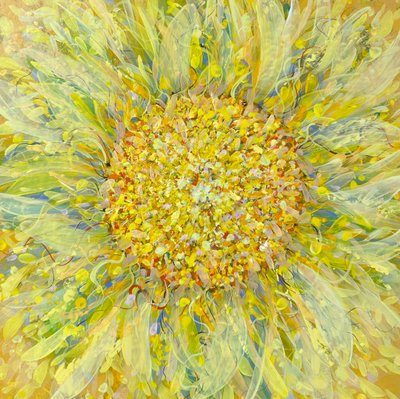 박정희, 해 바라기