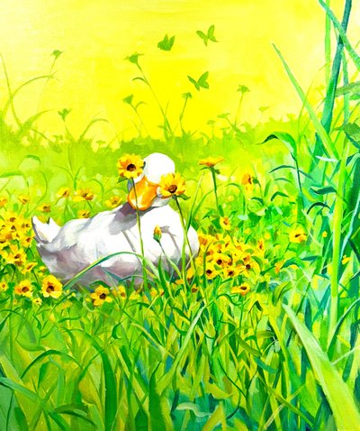 김현규, 숨바꼭질