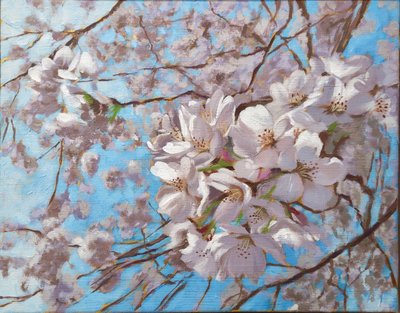 고드로, Sadhana 003