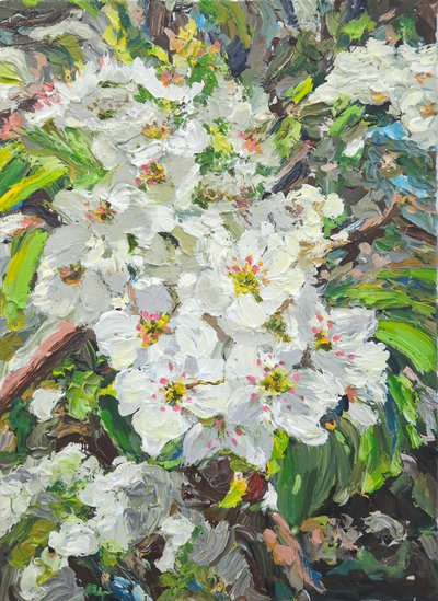 고드로, 淸和(청화)