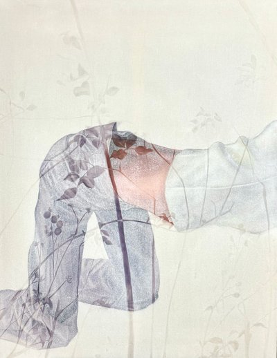 김다윤, 떨어진 새