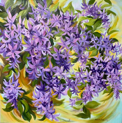 조윤경A, Petrea