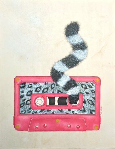 김다은, Analog_81