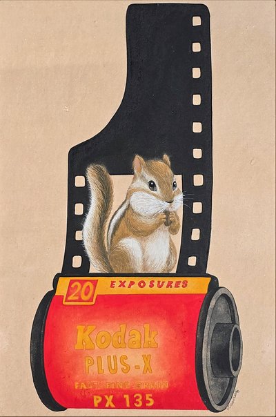 김다은, Anlaog_85