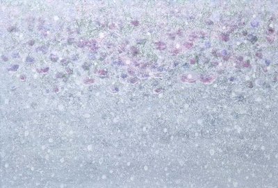 이수애, 암스테르담의 눈