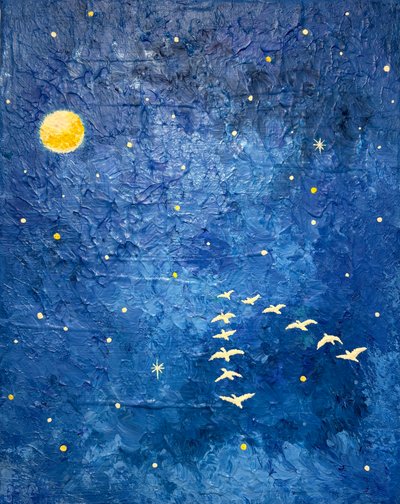 박서영, 별빛 여행 - 푸른 밤Ⅱ