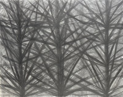 오명주, Power of Jesus - 쭉쭉 뻗는 가지들