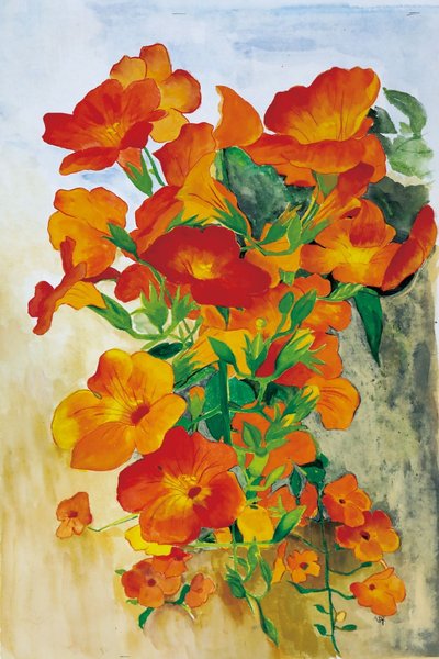 강선우, 능소화가 있는 담장