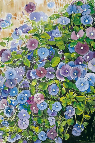 강선우, 기쁜 소식