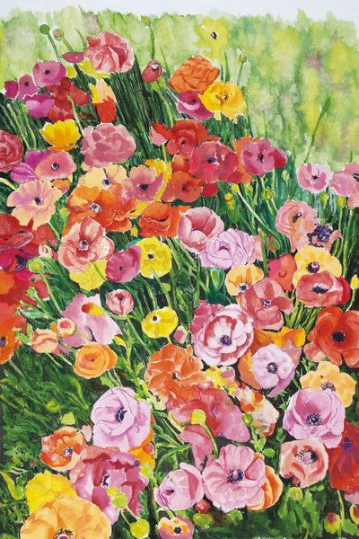 강선우, 피어남의 시간