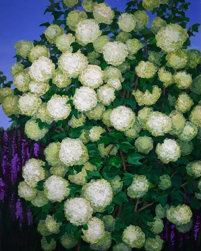손영남, My Garden-5월 불두화1