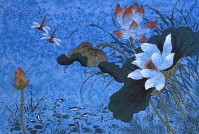 유영숙, 연화도