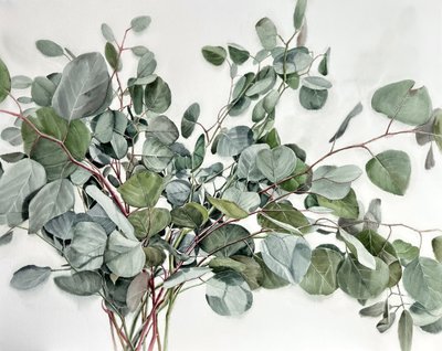 수채은, 유칼립투스 다발