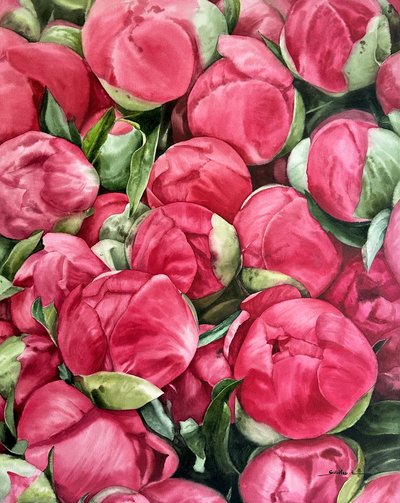 수채은, 작약 봉오리 다발