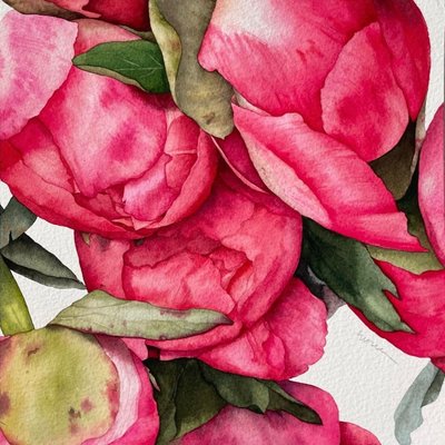 수채은, 작약 봉오리