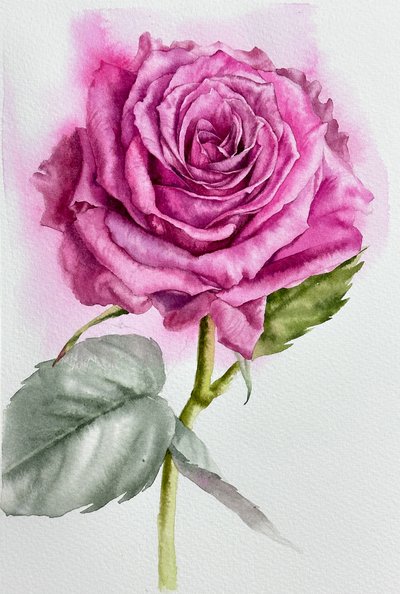 수채은, 장미 한송이