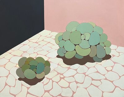 윤소람, the cactus