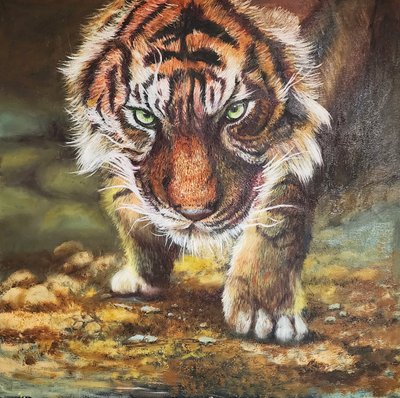 에니박스, a young tiger