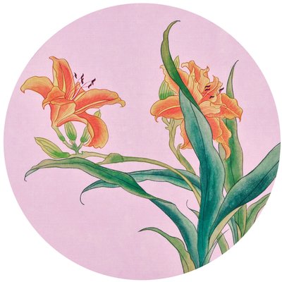 김윤기, 나리꽃