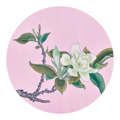 김윤기, 백목련