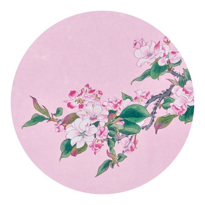 김윤기, 사과꽃