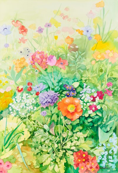 윤국희, Blooming in summer