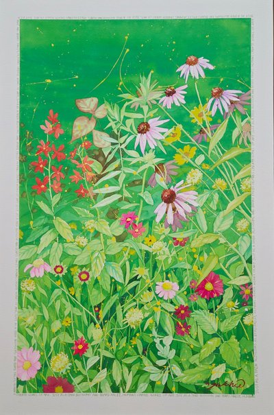 윤국희, Bloomy Boo!