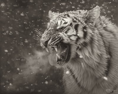 포산 김태형, The Roar#9