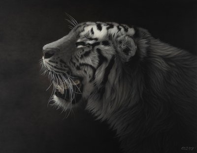 포산 김태형, The Roar#10