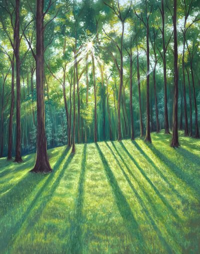 달그림, 빛이 드리운 자리