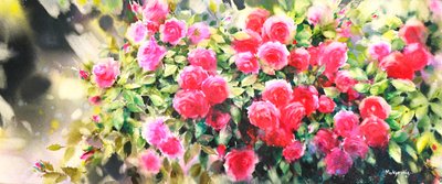 안모경, 장미에 물들다.