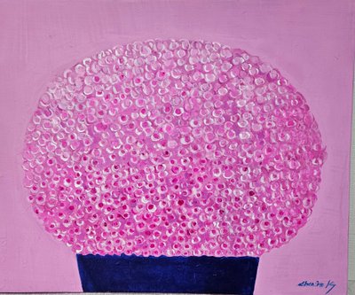 천인경, 안개꽃