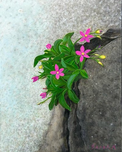 사라케이, 역경을 딛고서