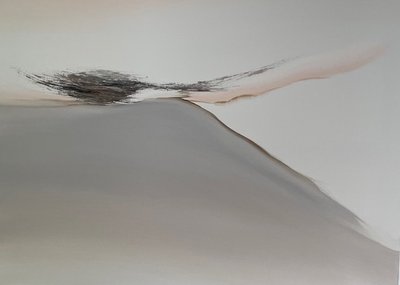 김도우, 돌연변이