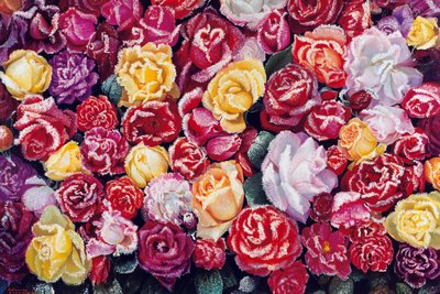 이길순, 서리낀 장미