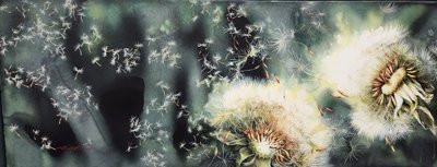 손병순, 내 꿈을 펼쳐라