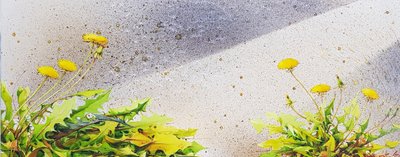 손병순, 햇살이좋아서