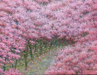 장미연, 가고싶은 길(4)(벚꽃길)