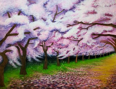 김수빈, 밤의 벚꽃길